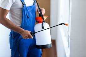 Best Pest Prevention Services  in Mount Vernon, IL